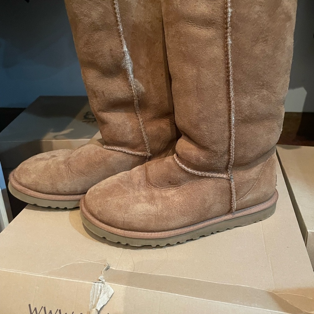 UGG Chestnut Suede Tall Shearling Boots